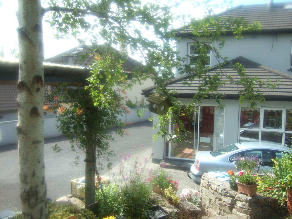 Elderberry B&B Westport Exterior foto